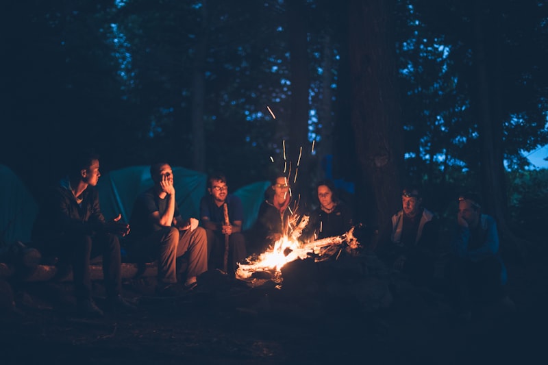 Campfire at night