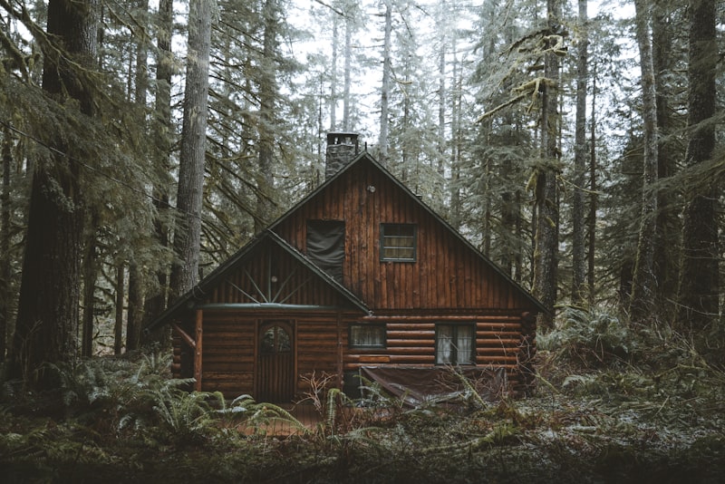 Rustic lodge room interior